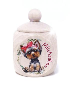 Yorkshire Terrier Mädchen MZD